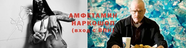 ГАЛЛЮЦИНОГЕННЫЕ ГРИБЫ Касимов