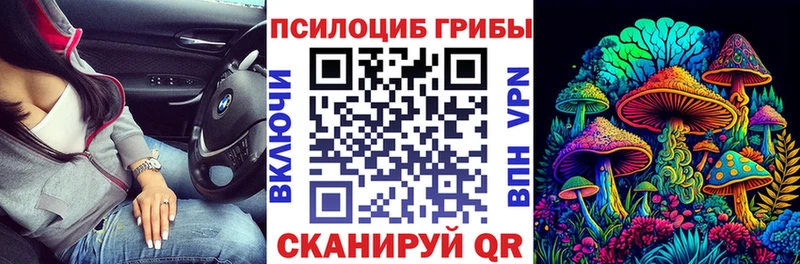 Купить где  Кореновск  Псилоцибиновые грибы прущие грибы 
