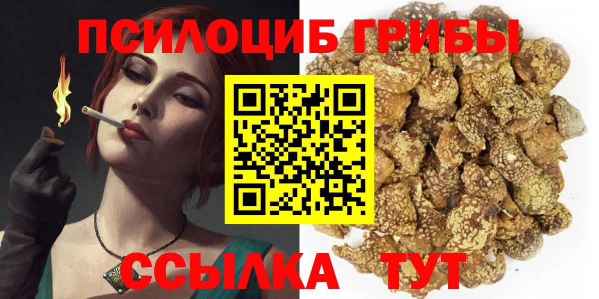 Псилоцибиновые грибы Cubensis  Кореновск 
